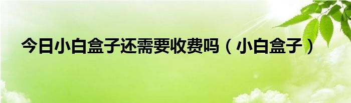 今日小白盒子还需要收费吗（小白盒子）