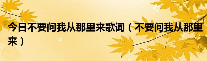 今日不要问我从那里来歌词（不要问我从那里来）
