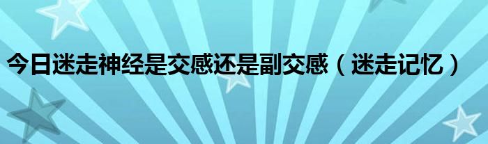 今日迷走神经是交感还是副交感（迷走记忆）