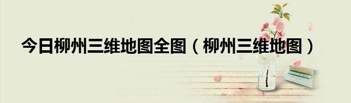 今日柳州三维地图全图（柳州三维地图）