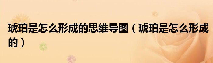 琥珀是怎么形成的思维导图（琥珀是怎么形成的）