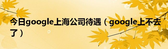 今日google上海公司待遇（google上不去了）