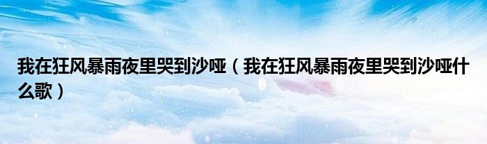 我在狂风暴雨夜里哭到沙哑（我在狂风暴雨夜里哭到沙哑什么歌）