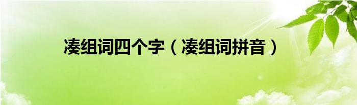 凑组词四个字（凑组词拼音）