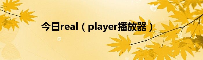 今日real（player播放器）