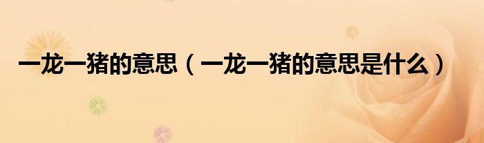 一龙一猪的意思（一龙一猪的意思是什么）