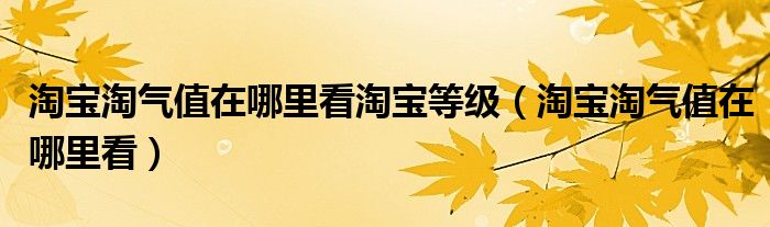 淘宝淘气值在哪里看淘宝等级（淘宝淘气值在哪里看）