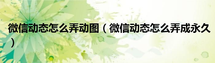 微信动态怎么弄动图（微信动态怎么弄成永久）