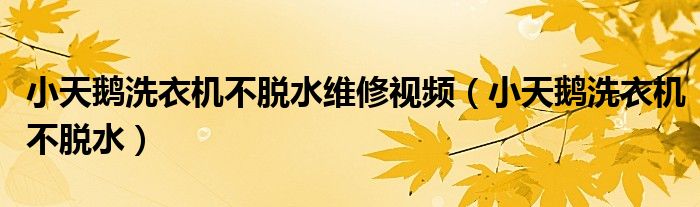 小天鹅洗衣机不脱水维修视频（小天鹅洗衣机不脱水）
