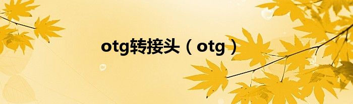 otg转接头（otg）