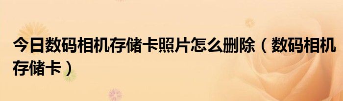 今日数码相机存储卡照片怎么删除（数码相机存储卡）