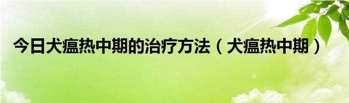 今日犬瘟热中期的治疗方法（犬瘟热中期）