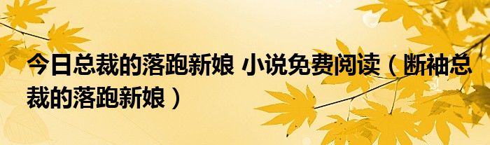 今日总裁的落跑新娘 小说免费阅读（断袖总裁的落跑新娘）