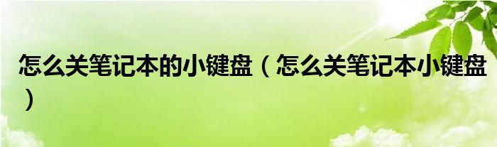 怎么关笔记本的小键盘（怎么关笔记本小键盘）