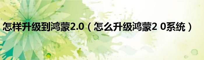 怎样升级到鸿蒙2.0（怎么升级鸿蒙2 0系统）