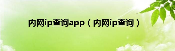 内网ip查询app（内网ip查询）