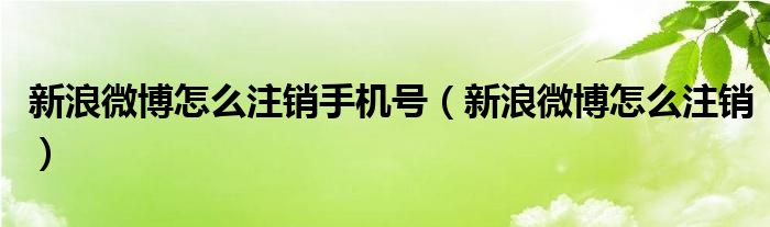 新浪微博怎么注销手机号（新浪微博怎么注销）