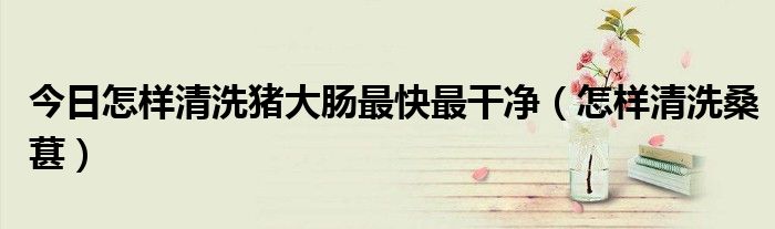 今日怎样清洗猪大肠最快最干净（怎样清洗桑葚）