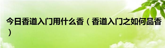 今日香道入门用什么香（香道入门之如何品香）