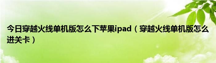 今日穿越火线单机版怎么下苹果ipad（穿越火线单机版怎么进关卡）