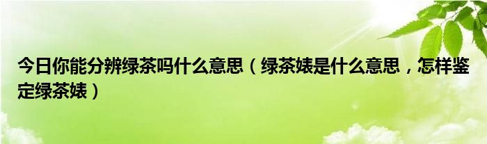 今日你能分辨绿茶吗什么意思（绿茶婊是什么意思，怎样鉴定绿茶婊）