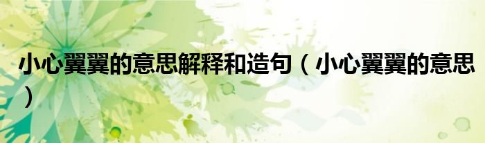 小心翼翼是什么意思的照片