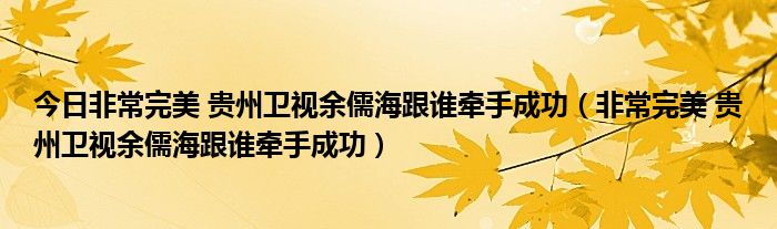 今日非常完美 贵州卫视余儒海跟谁牵手成功（非常完美 贵州卫视余儒海跟谁牵手成功）