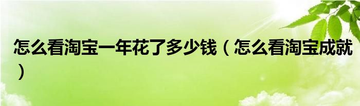怎么看淘宝一年花了多少钱（怎么看淘宝成就）
