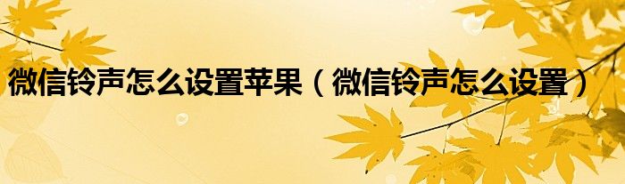 微信铃声怎么设置苹果（微信铃声怎么设置）