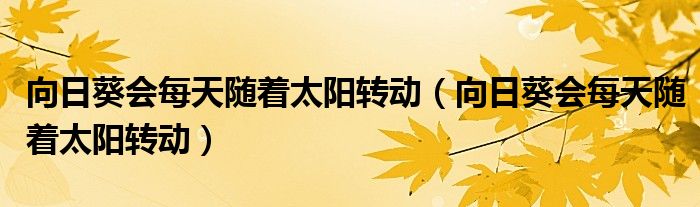 向日葵会每天随着太阳转动（向日葵会每天随着太阳转动）