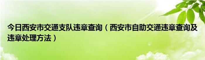 今日西安市交通支队违章查询（西安市自助交通违章查询及违章处理方法）