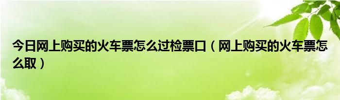 今日网上购买的火车票怎么过检票口（网上购买的火车票怎么取）