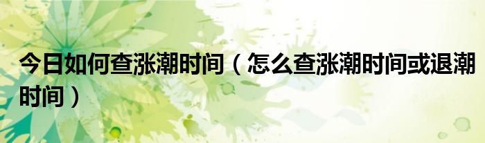 今日如何查涨潮时间（怎么查涨潮时间或退潮时间）