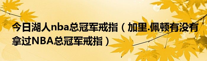 今日湖人nba总冠军戒指（加里.佩顿有没有拿过NBA总冠军戒指）
