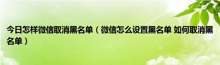 今日怎样微信取消黑名单（微信怎么设置黑名单 如何取消黑名单）