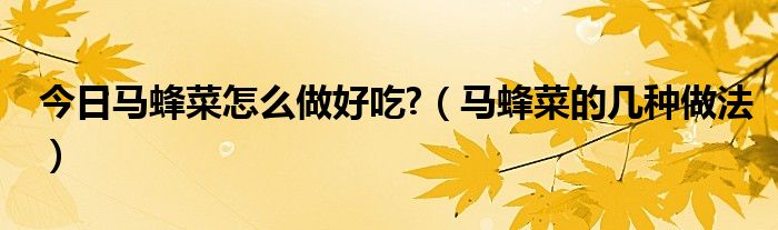 今日马蜂菜怎么做好吃?（马蜂菜的几种做法）