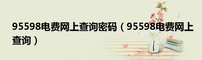 95598电费网上查询密码（95598电费网上查询）