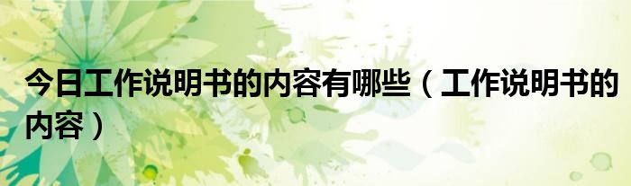 今日工作说明书的内容有哪些（工作说明书的内容）
