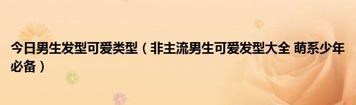 今日男生发型可爱类型（非主流男生可爱发型大全 萌系少年必备）