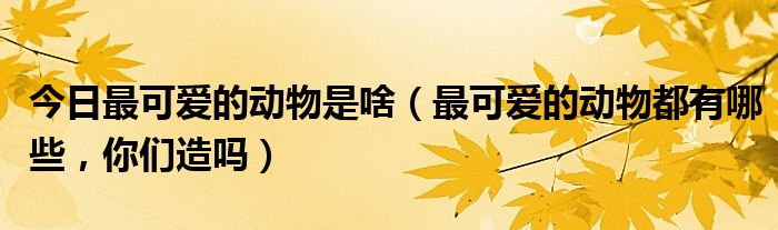 今日最可爱的动物是啥（最可爱的动物都有哪些，你们造吗）
