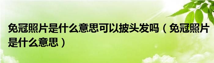 免冠照片是什么意思可以披头发吗（免冠照片是什么意思）