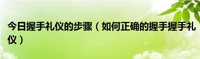 今日握手礼仪的步骤（如何正确的握手握手礼仪）