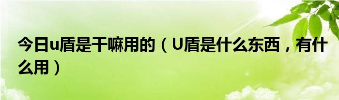 今日u盾是干嘛用的（U盾是什么东西，有什么用）