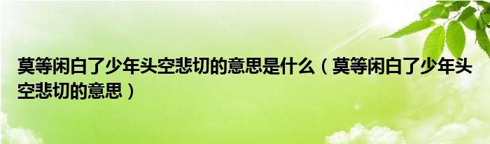 莫等闲白了少年头空悲切的意思是什么（莫等闲白了少年头空悲切的意思）