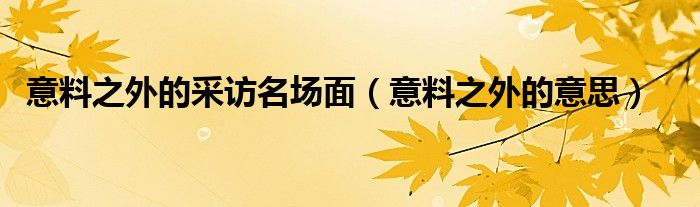意料之外的采访名场面（意料之外的意思）