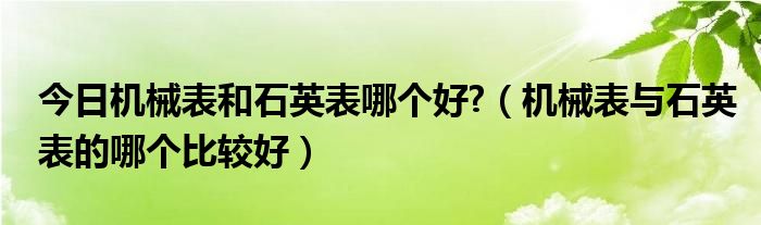 今日机械表和石英表哪个好?（机械表与石英表的哪个比较好）