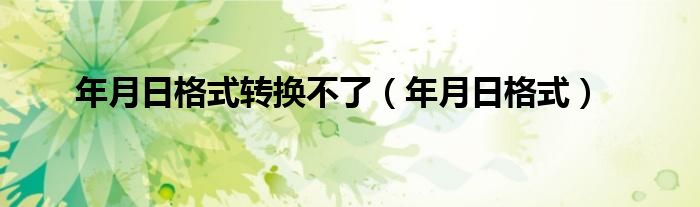年月日格式转换不了（年月日格式）