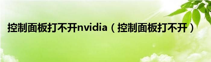控制面板打不开nvidia（控制面板打不开）