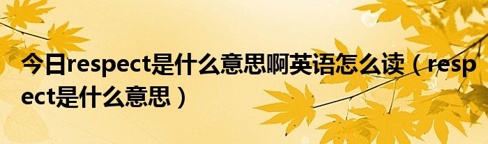 今日respect是什么意思啊英语怎么读（respect是什么意思）