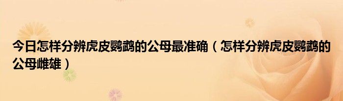 今日怎样分辨虎皮鹦鹉的公母最准确（怎样分辨虎皮鹦鹉的公母雌雄）